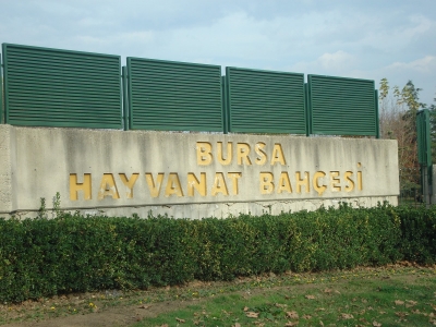 Bursa Hayvanat Bahçesi