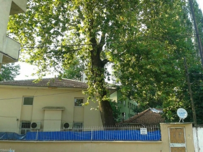 Hacı Hidayet Ener Camii