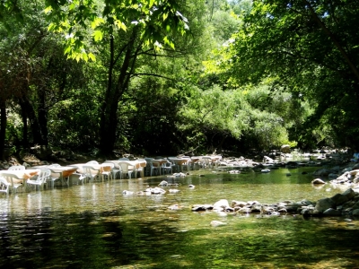 Misi Köyü Piknik Alanı