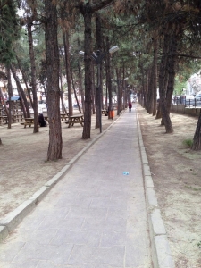 Çamlık Park